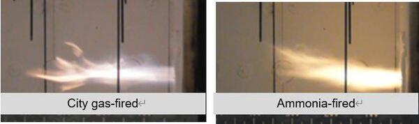 20260121_ammonia_e01.jpg