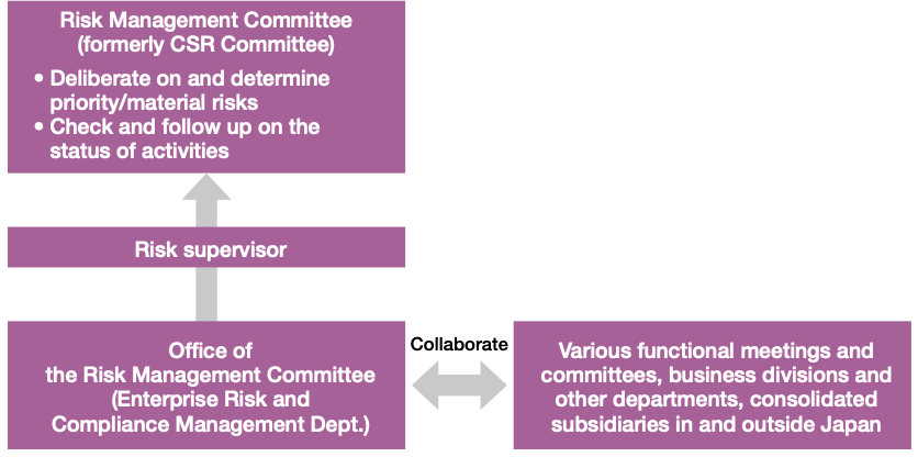 Risk Management Structure