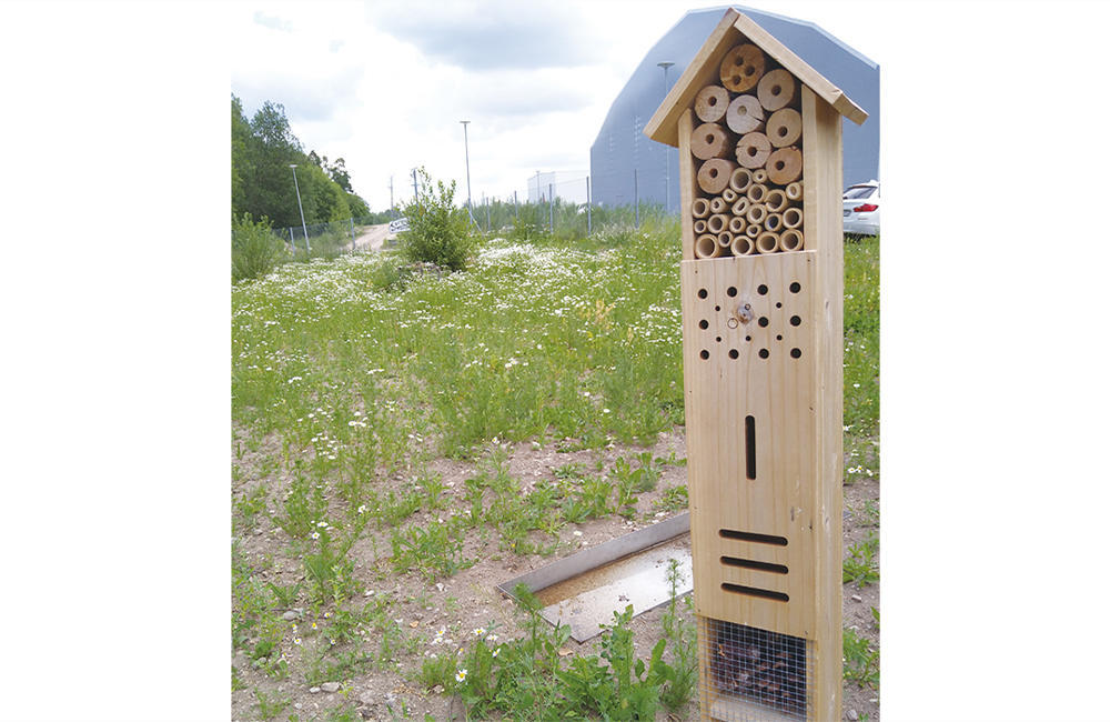 Insect Hotel